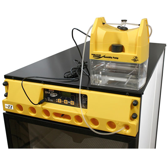 incubadora con humedad automatica ova-easy 100