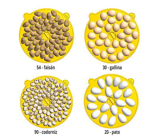 incubadora con capacidad para 30 huevos de gallina o 90 huevos de codorniz