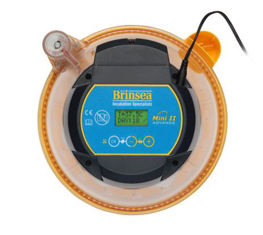 incubadora brinsea mini ii advance para 12 huevos de faisán