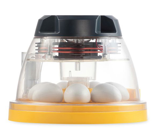 incubadora para canarios con control de humedad automática de brinsea