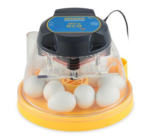 incubadora brinsea mini ii eco