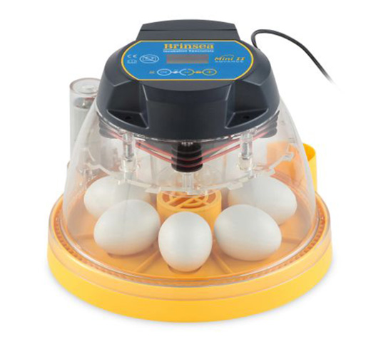 incubadora pequeña digital