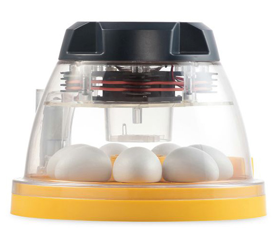 incubadora digital brinsea mini ii advance para 7 huevos de gallina
