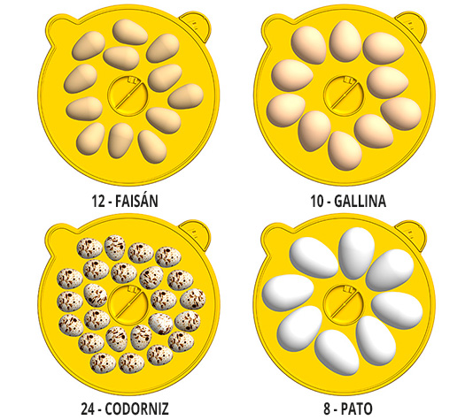 Capacidad de huevos de la incubadora manual brinsea mini II eco