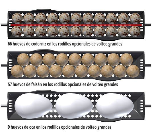 Capacidad de huevos en los rodillos opcionales de las incubadoras ovation 28