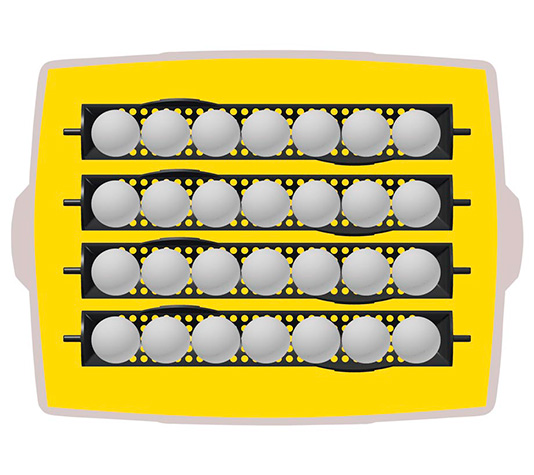 Incubadora para 28 huevos de capacidad