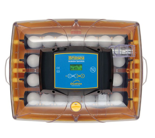 incubadora brinsea ovation 28 con lectura de la humedad