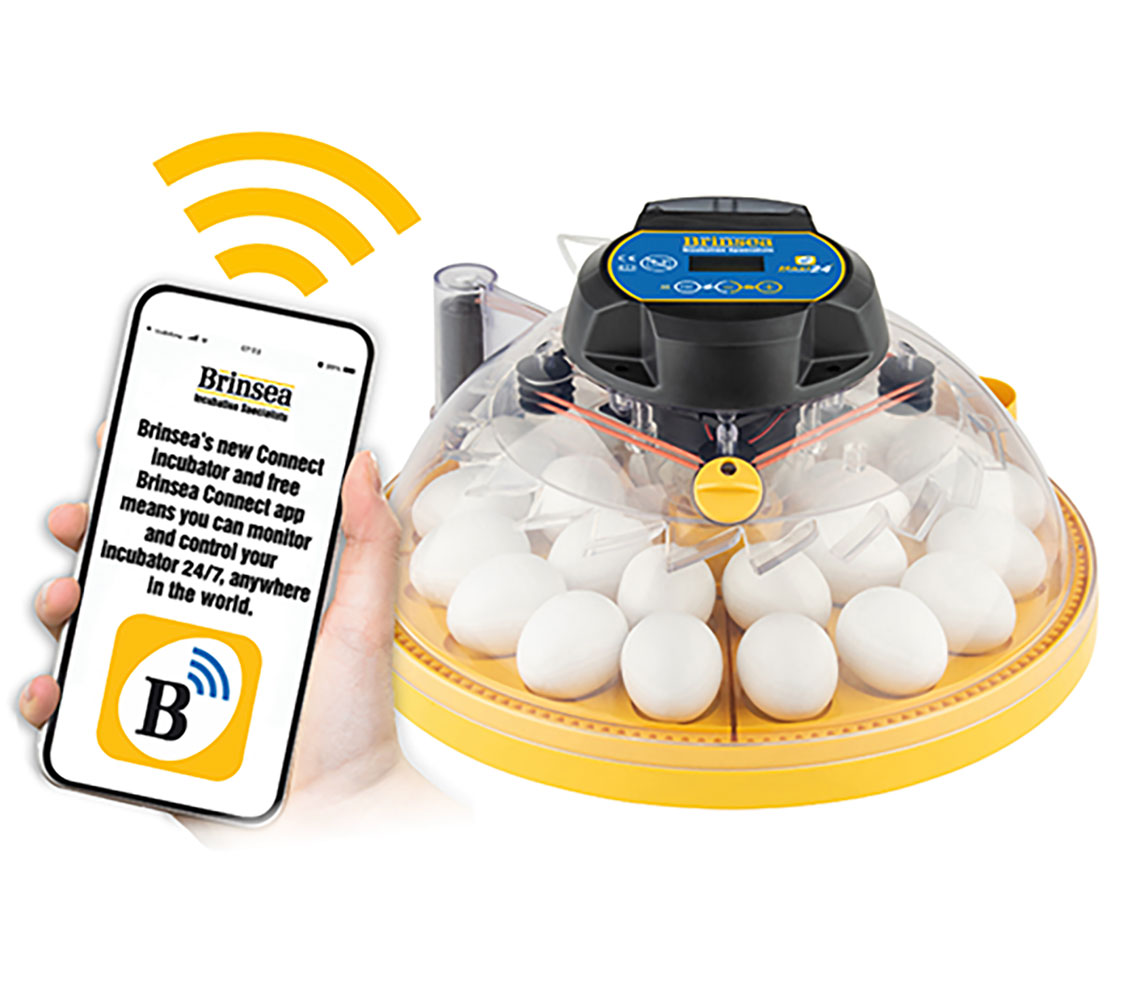 Incubadora Maxi 24 Connect