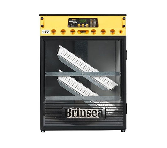 incubadora para pollos brinsea