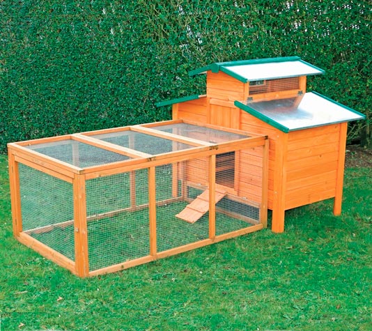 recinto para gallinas