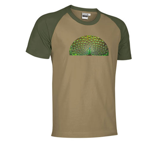 Camiseta Pavo Casarejo