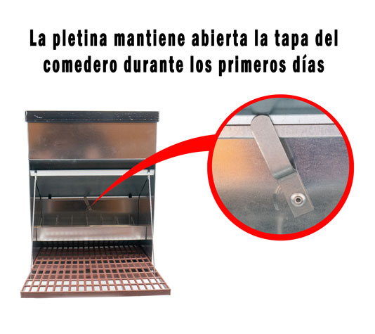 Pletina Feed Safe