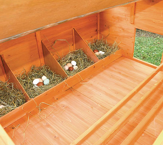 gallinero con cuatro ponederos