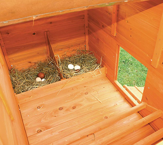 gallinero con ponedero