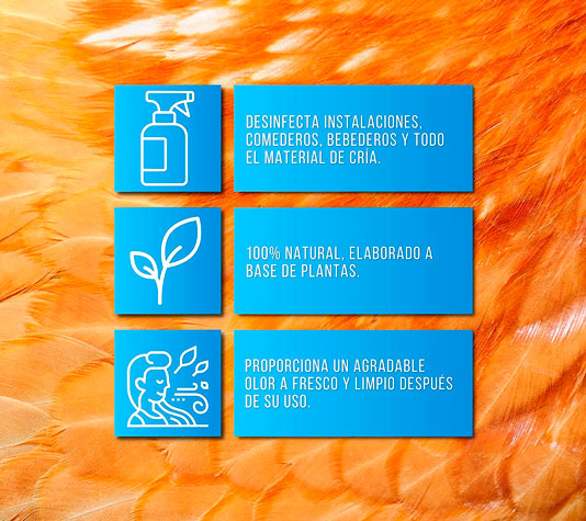 antiviral, bactericida y fungicida para gallinero