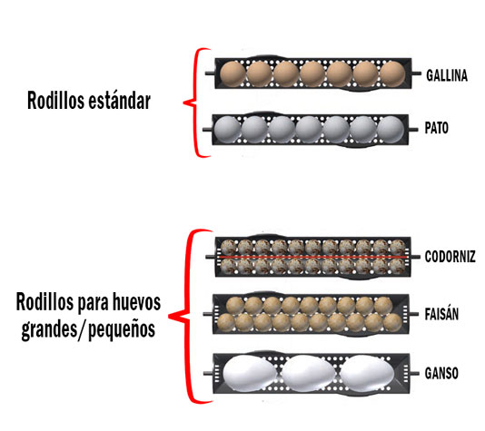 Rodillos adicionales para incubadoras Brinsea Ovation 28 y 56