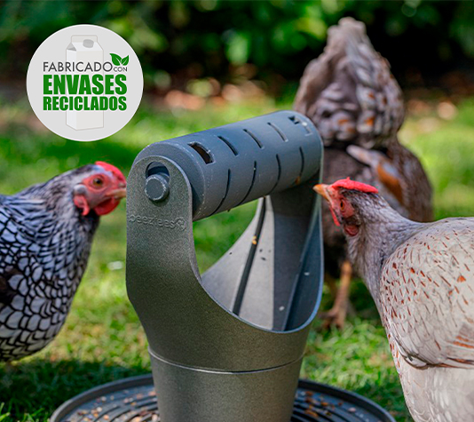 juguete interactivo para gallinas