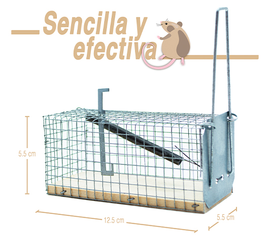 trampa sencilla y eficaz para ratones