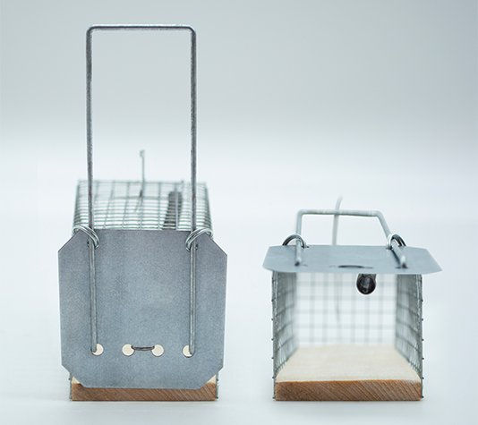 trampa para atrapar al animal sin matarlo