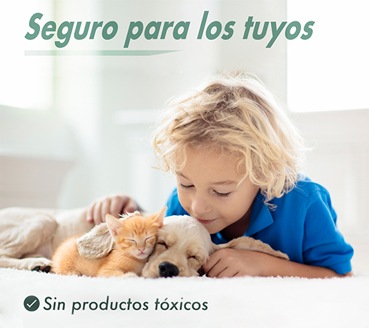 trampa facil de usar y reutilizable