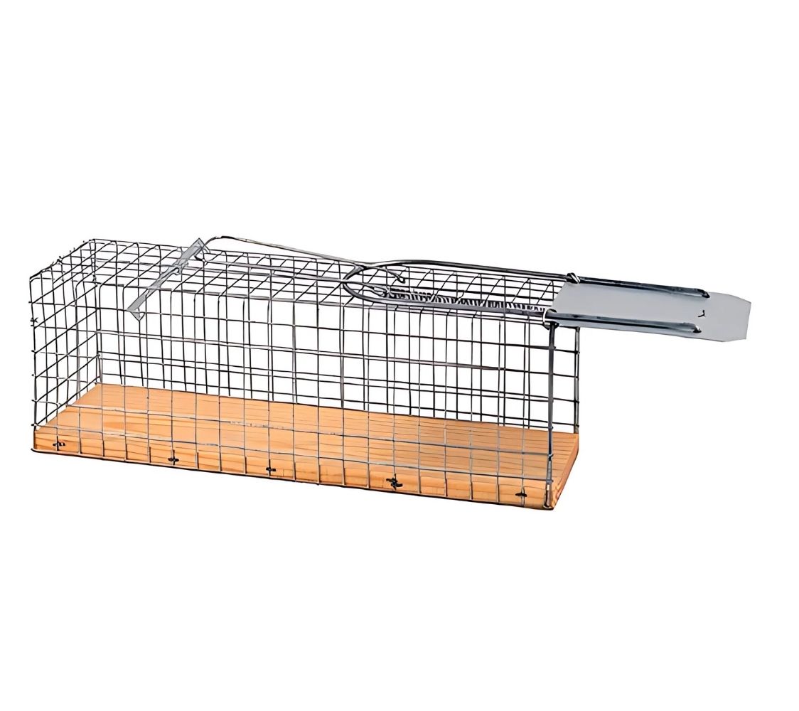 Jaula trampa ratas	