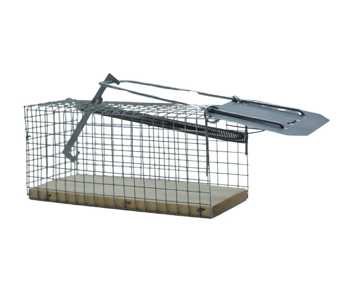 Jaula trampa para ratones	
