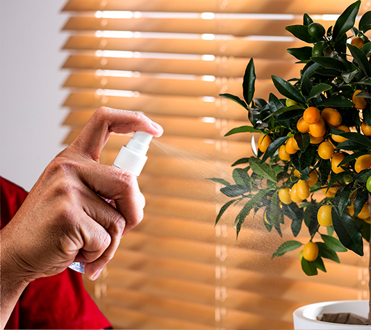jabón potásico para plantas y mascotas