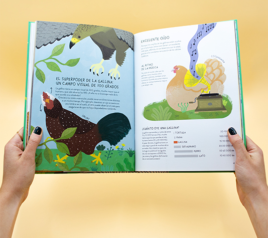 libro infantil sobre gallinas