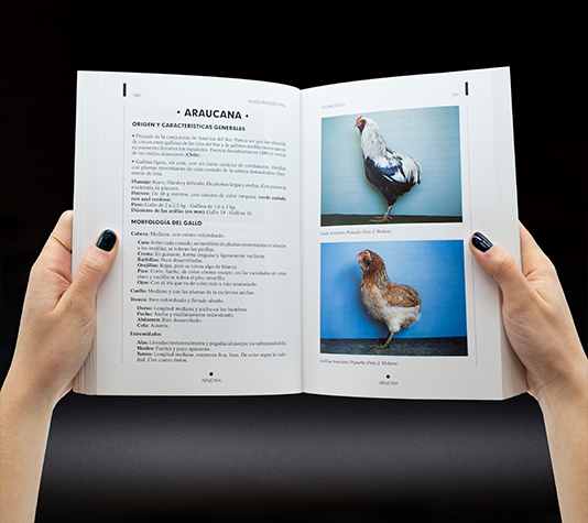 libro raza gallina amadeu francesch