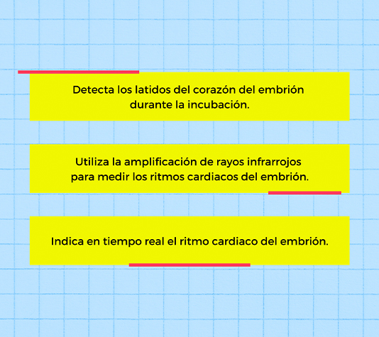 monitor para regristro de los latidos del pollito
