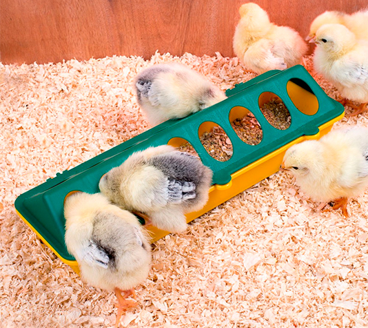 Comedero para pollos 