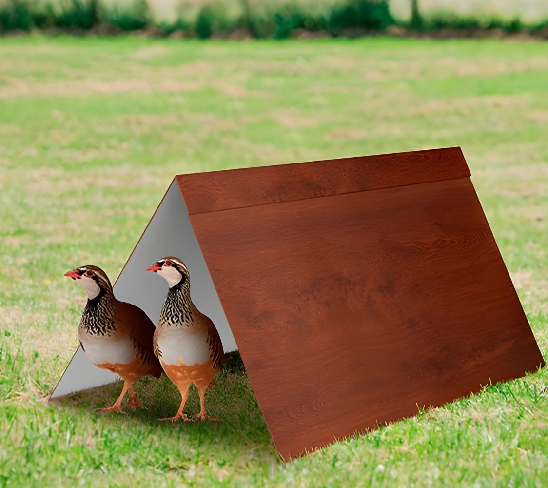 refugio elegante y estetico para tus aves	