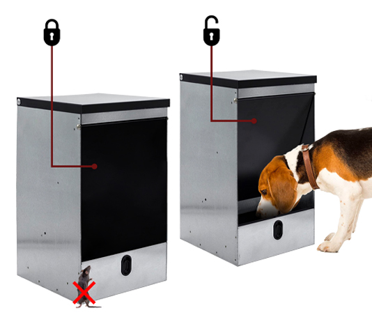 tolva antirroedores para perros