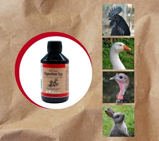 Previene las enfermedades respiratorias e intestinales