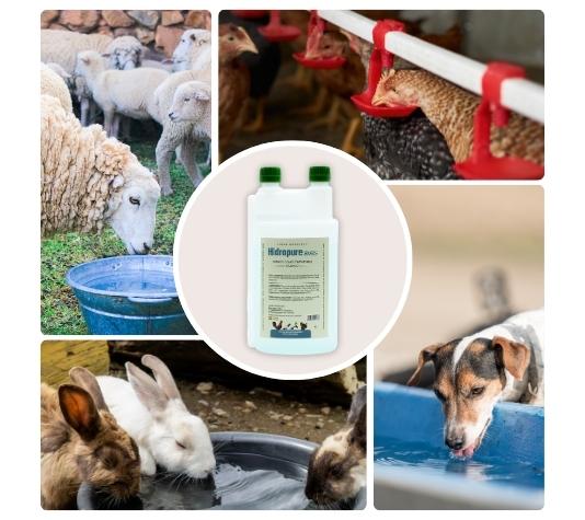 Evita la formación de bacterias y hongos