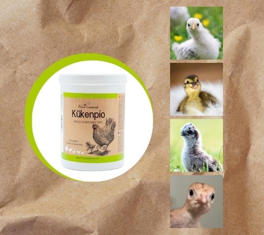 Equilibra la flora intestinal y ayuda a la digestión