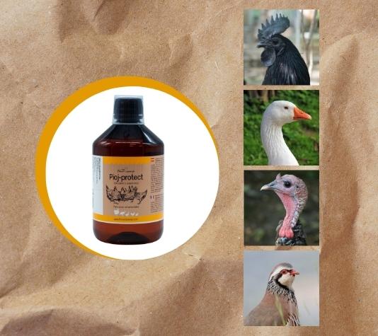 Facilita la digestión