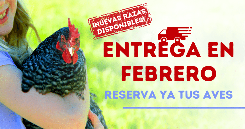 Reserva animales Feb 23