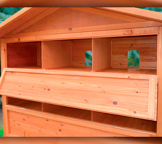 voladero para palomas