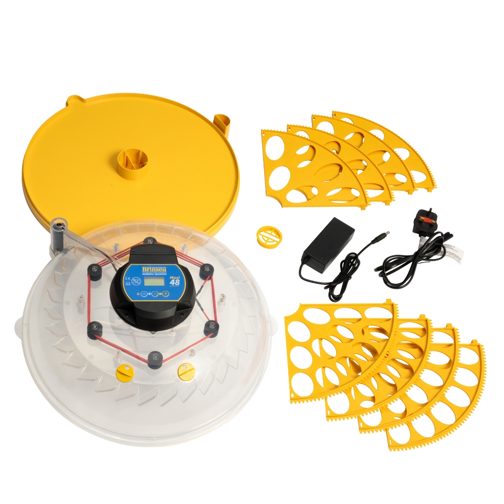 incubadora brinda maxi 24 advance