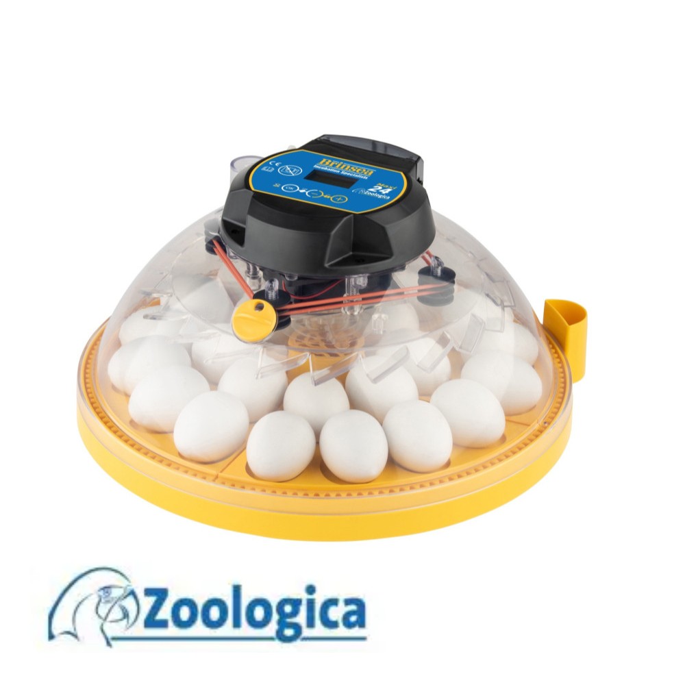 Incubadora Brinsea MAXI 24 Zoologica