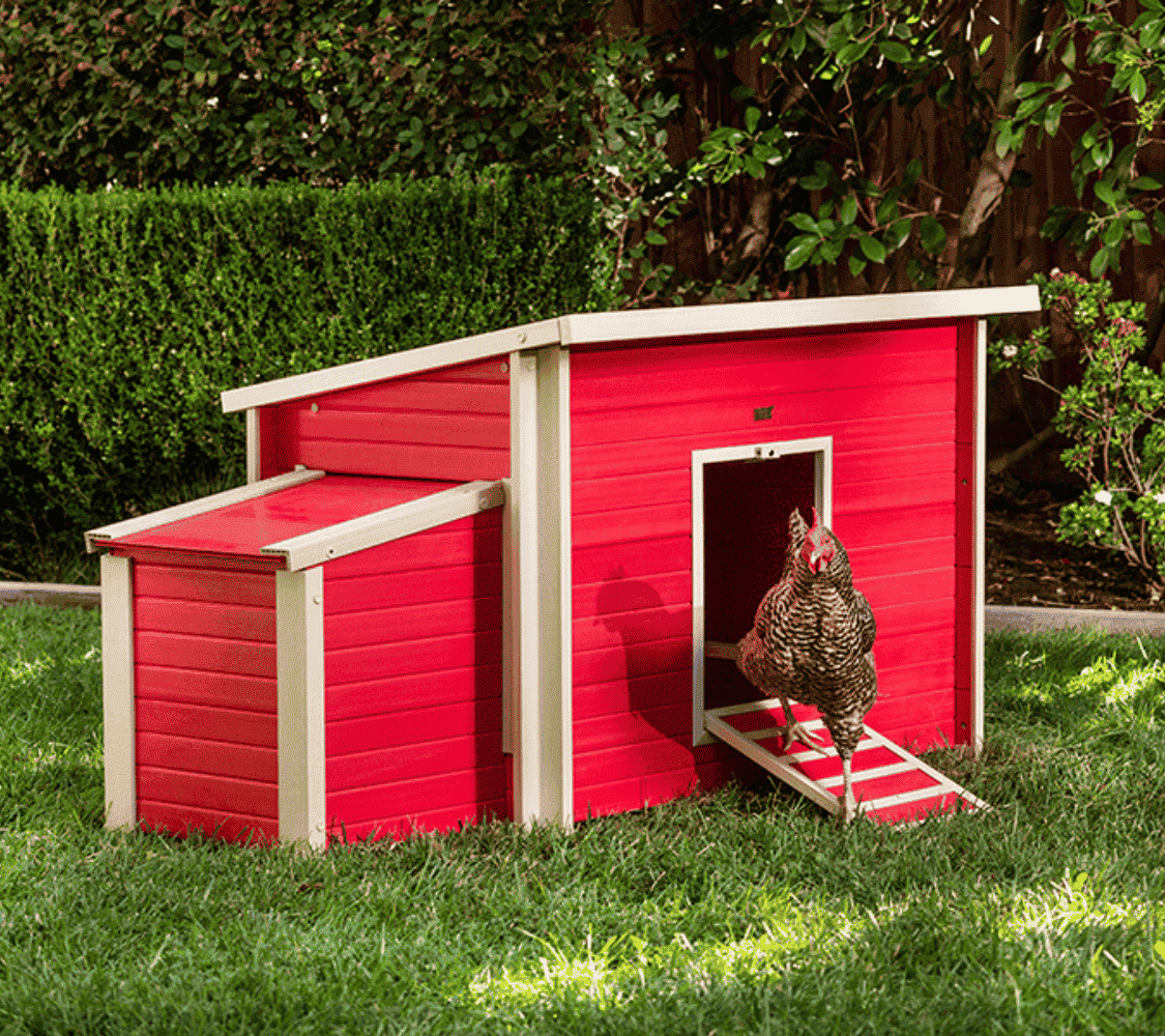 gallinero dallas para 3-5 gallinas