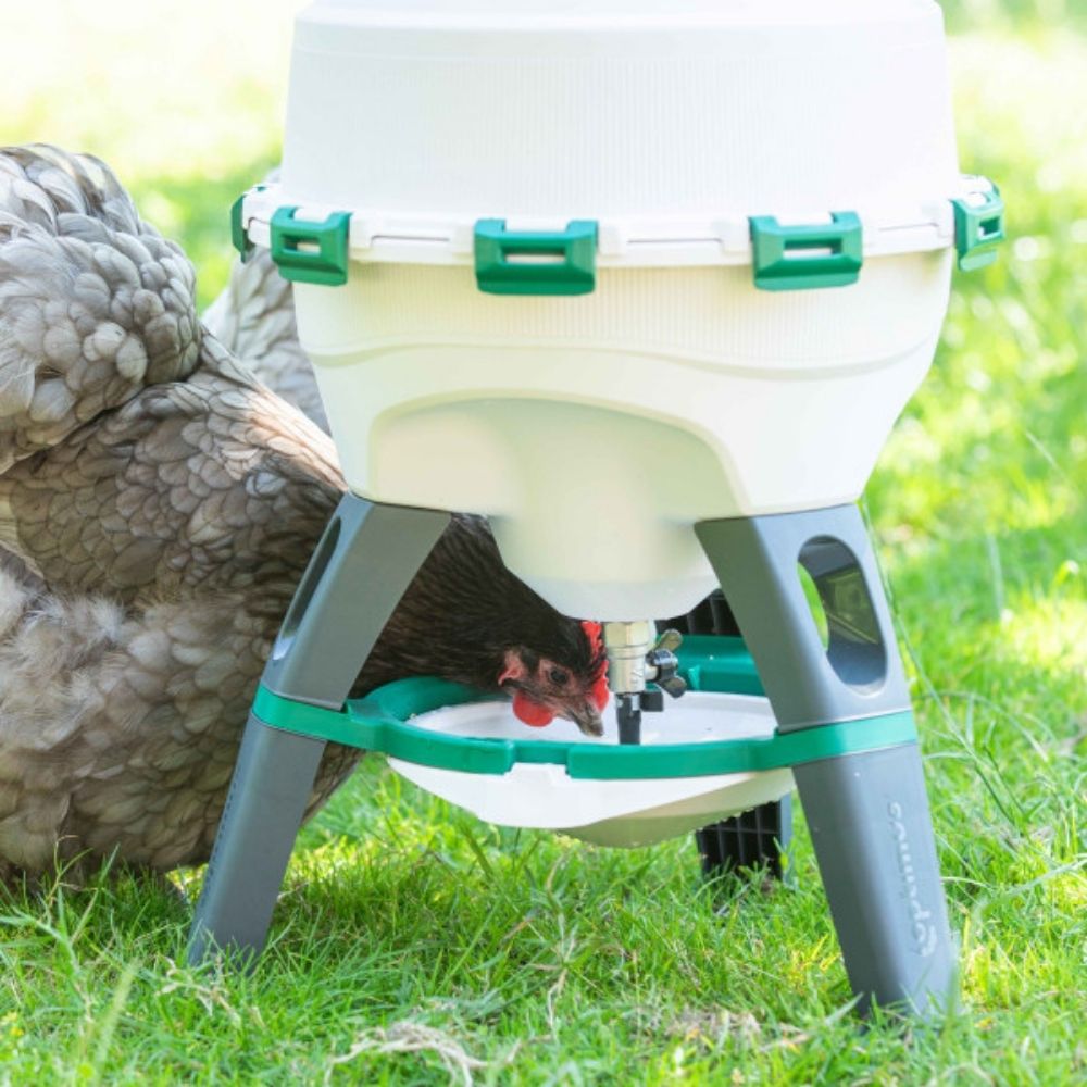 Bebedero para aves de gran capacidad