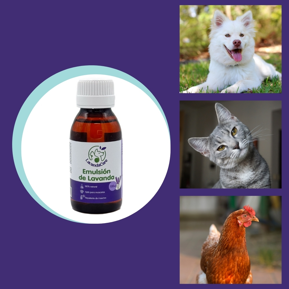 propiedades relajantes, antibacterianas, antifúngicas y cicatrizantes