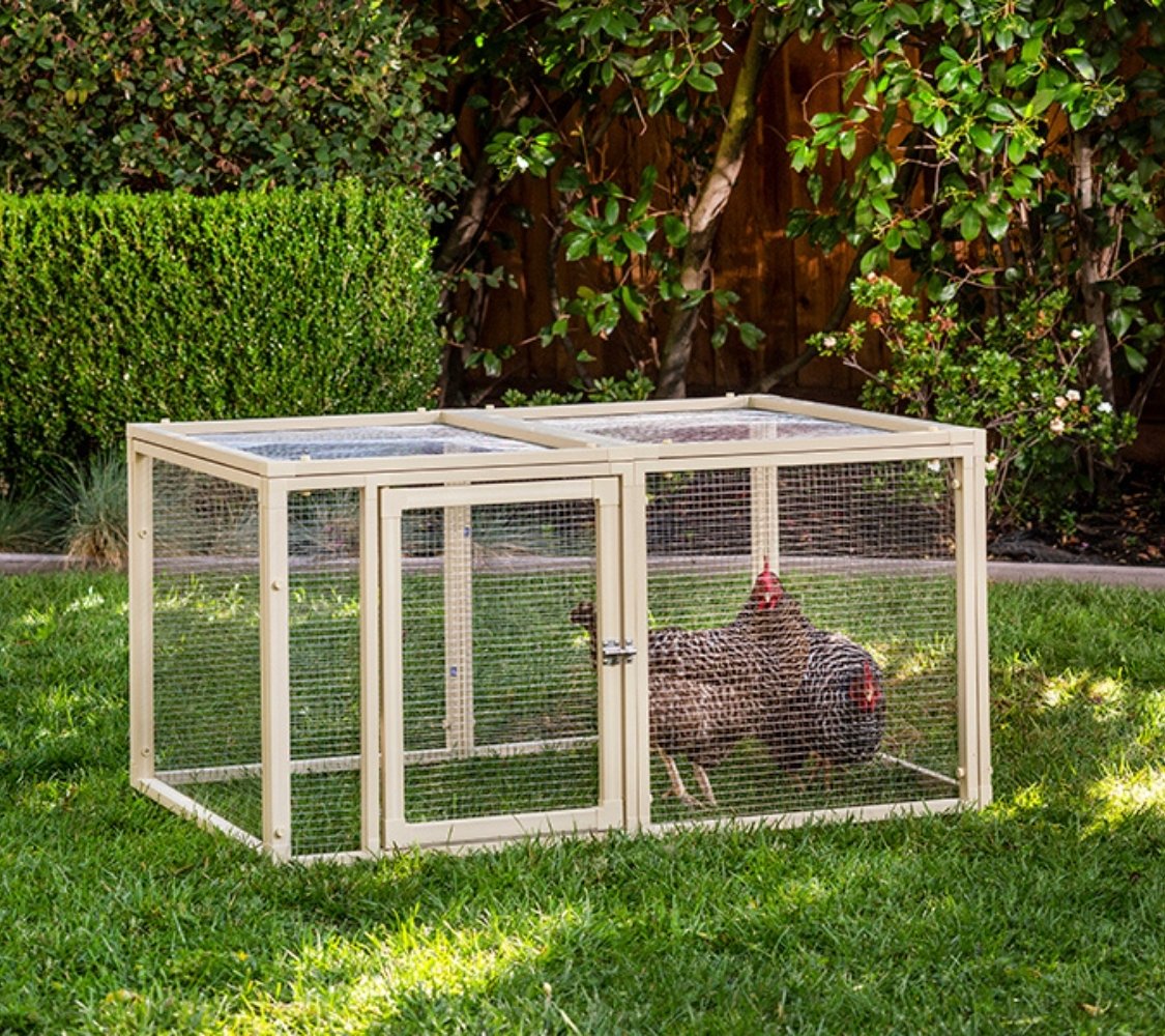 Parque para aves pequeño