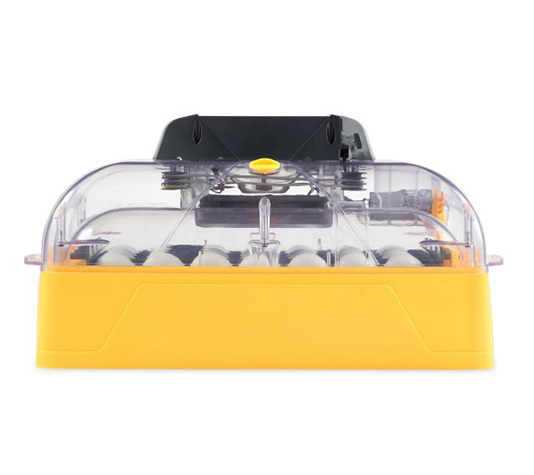 nuevo modelo de la incubadora octagon 20 advance ex