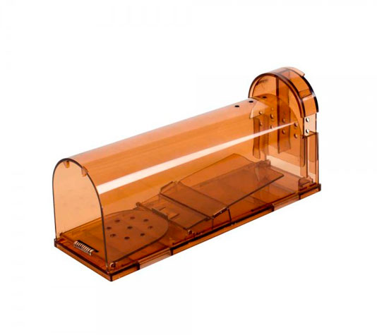 Trampa para capturar ratas sin cebo