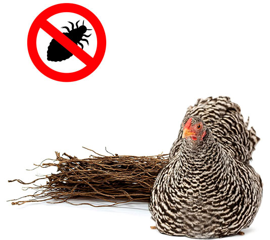 fibra tabaco repelente natural piojos y chinches