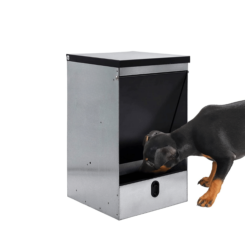 Tolva Self-Service para perros 10kg